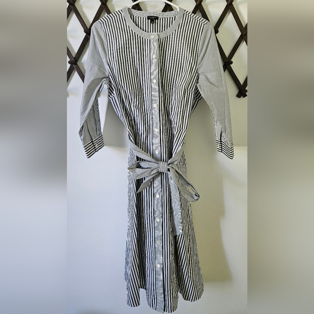 NWOT Talbots Belted Shirtdress - Daisy Stripe